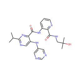 CC(C)c1ncc(Nc2cncnc2)c(C(=O)Nc2cccnc2C(=O)NCC(C)(C)O)n1 ZINC000143690240