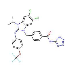 CC(C)n1/c(=N/c2ccc(OC(F)(F)F)cc2)n(Cc2ccc(C(=O)Nc3nnn[nH]3)cc2)c2cc(Cl)c(Cl)cc21 ZINC000101455502