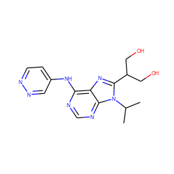 CC(C)n1c(C(CO)CO)nc2c(Nc3ccnnc3)ncnc21 ZINC000095598287