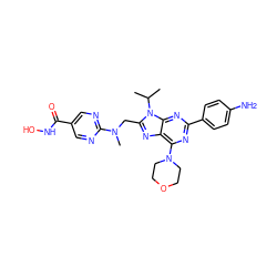 CC(C)n1c(CN(C)c2ncc(C(=O)NO)cn2)nc2c(N3CCOCC3)nc(-c3ccc(N)cc3)nc21 ZINC000653835465