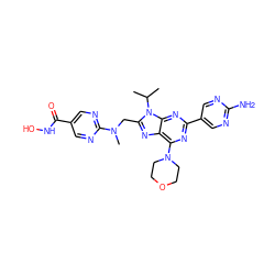 CC(C)n1c(CN(C)c2ncc(C(=O)NO)cn2)nc2c(N3CCOCC3)nc(-c3cnc(N)nc3)nc21 ZINC000653833429