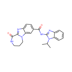 CC(C)n1c(NC(=O)c2ccc3nc4n(c3c2)CCCNC4=O)nc2ccccc21 ZINC000117708151