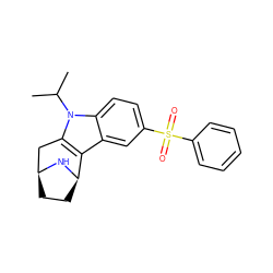 CC(C)n1c2c(c3cc(S(=O)(=O)c4ccccc4)ccc31)[C@H]1CC[C@@H](C2)N1 ZINC000082153138