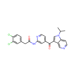 CC(C)n1cc(C(=O)c2ccnc(NC(=O)Cc3ccc(Cl)c(Cl)c3)c2)c2cnccc21 ZINC001772585403