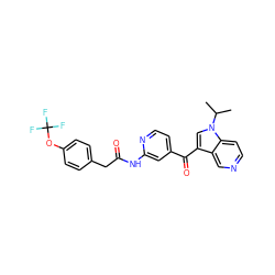 CC(C)n1cc(C(=O)c2ccnc(NC(=O)Cc3ccc(OC(F)(F)F)cc3)c2)c2cnccc21 ZINC001772610515