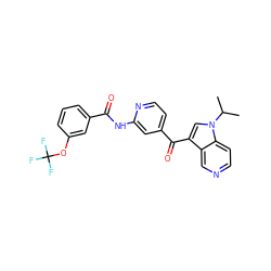 CC(C)n1cc(C(=O)c2ccnc(NC(=O)c3cccc(OC(F)(F)F)c3)c2)c2cnccc21 ZINC001772604586