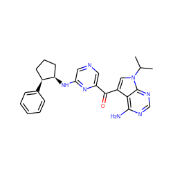 CC(C)n1cc(C(=O)c2cncc(N[C@@H]3CCC[C@@H]3c3ccccc3)n2)c2c(N)ncnc21 ZINC000073221753