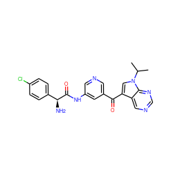 CC(C)n1cc(C(=O)c2cncc(NC(=O)[C@@H](N)c3ccc(Cl)cc3)c2)c2cncnc21 ZINC000169707893