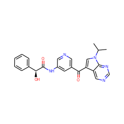 CC(C)n1cc(C(=O)c2cncc(NC(=O)[C@@H](O)c3ccccc3)c2)c2cncnc21 ZINC000169708028