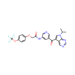 CC(C)n1cc(C(=O)c2cncc(NC(=O)COc3ccc(OC(F)(F)F)cc3)c2)c2cncnc21 ZINC000169707892