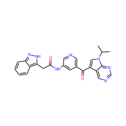 CC(C)n1cc(C(=O)c2cncc(NC(=O)Cc3[nH]nc4ccccc34)c2)c2cncnc21 ZINC000221754813