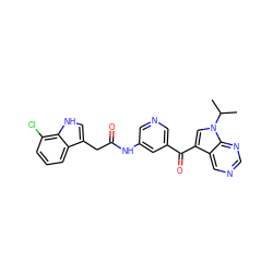 CC(C)n1cc(C(=O)c2cncc(NC(=O)Cc3c[nH]c4c(Cl)cccc34)c2)c2cncnc21 ZINC000221754903