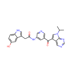 CC(C)n1cc(C(=O)c2cncc(NC(=O)Cc3c[nH]c4ccc(O)cc34)c2)c2cncnc21 ZINC000221755179