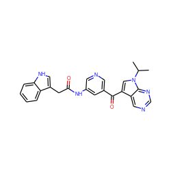 CC(C)n1cc(C(=O)c2cncc(NC(=O)Cc3c[nH]c4ccccc34)c2)c2cncnc21 ZINC000221754196