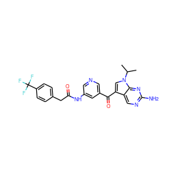 CC(C)n1cc(C(=O)c2cncc(NC(=O)Cc3ccc(C(F)(F)F)cc3)c2)c2cnc(N)nc21 ZINC000169707804