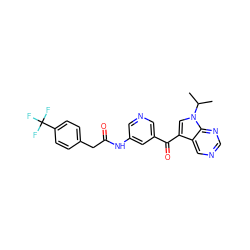 CC(C)n1cc(C(=O)c2cncc(NC(=O)Cc3ccc(C(F)(F)F)cc3)c2)c2cncnc21 ZINC000169707638