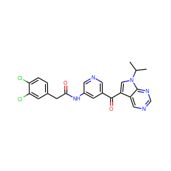 CC(C)n1cc(C(=O)c2cncc(NC(=O)Cc3ccc(Cl)c(Cl)c3)c2)c2cncnc21 ZINC000169707639