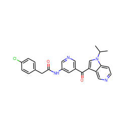 CC(C)n1cc(C(=O)c2cncc(NC(=O)Cc3ccc(Cl)cc3)c2)c2cnccc21 ZINC001772641379