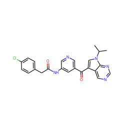 CC(C)n1cc(C(=O)c2cncc(NC(=O)Cc3ccc(Cl)cc3)c2)c2cncnc21 ZINC000169707640