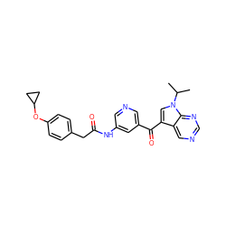 CC(C)n1cc(C(=O)c2cncc(NC(=O)Cc3ccc(OC4CC4)cc3)c2)c2cncnc21 ZINC000169707644