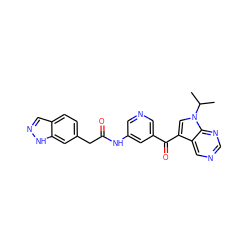 CC(C)n1cc(C(=O)c2cncc(NC(=O)Cc3ccc4cn[nH]c4c3)c2)c2cncnc21 ZINC000221753649