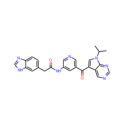 CC(C)n1cc(C(=O)c2cncc(NC(=O)Cc3ccc4nc[nH]c4c3)c2)c2cncnc21 ZINC000221753445