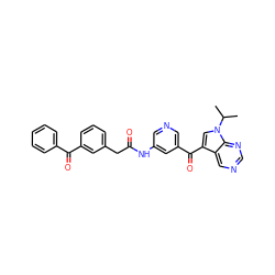 CC(C)n1cc(C(=O)c2cncc(NC(=O)Cc3cccc(C(=O)c4ccccc4)c3)c2)c2cncnc21 ZINC000169707842