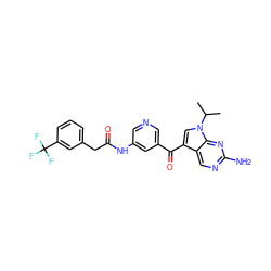 CC(C)n1cc(C(=O)c2cncc(NC(=O)Cc3cccc(C(F)(F)F)c3)c2)c2cnc(N)nc21 ZINC000169707805