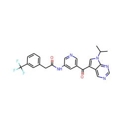 CC(C)n1cc(C(=O)c2cncc(NC(=O)Cc3cccc(C(F)(F)F)c3)c2)c2cncnc21 ZINC000169707637