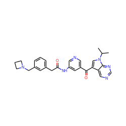 CC(C)n1cc(C(=O)c2cncc(NC(=O)Cc3cccc(CN4CCC4)c3)c2)c2cncnc21 ZINC000169707823