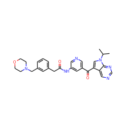 CC(C)n1cc(C(=O)c2cncc(NC(=O)Cc3cccc(CN4CCOCC4)c3)c2)c2cncnc21 ZINC000169707825