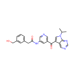 CC(C)n1cc(C(=O)c2cncc(NC(=O)Cc3cccc(CO)c3)c2)c2cncnc21 ZINC000169707646