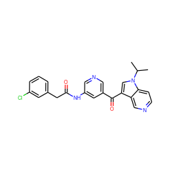 CC(C)n1cc(C(=O)c2cncc(NC(=O)Cc3cccc(Cl)c3)c2)c2cnccc21 ZINC001772654676