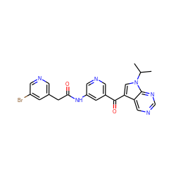 CC(C)n1cc(C(=O)c2cncc(NC(=O)Cc3cncc(Br)c3)c2)c2cncnc21 ZINC000169707706