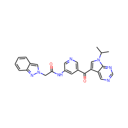 CC(C)n1cc(C(=O)c2cncc(NC(=O)Cn3cc4ccccc4n3)c2)c2cncnc21 ZINC000169707662