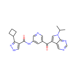 CC(C)n1cc(C(=O)c2cncc(NC(=O)c3c[nH]nc3C3CCC3)c2)c2cncnc21 ZINC000261094290