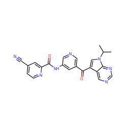 CC(C)n1cc(C(=O)c2cncc(NC(=O)c3cc(C#N)ccn3)c2)c2cncnc21 ZINC000169708000