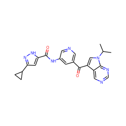 CC(C)n1cc(C(=O)c2cncc(NC(=O)c3cc(C4CC4)n[nH]3)c2)c2cncnc21 ZINC000261151566