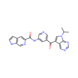 CC(C)n1cc(C(=O)c2cncc(NC(=O)c3cc4cc[nH]c4cn3)c2)c2cncnc21 ZINC000221756626