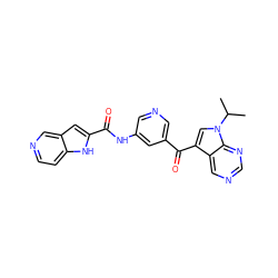 CC(C)n1cc(C(=O)c2cncc(NC(=O)c3cc4cnccc4[nH]3)c2)c2cncnc21 ZINC000221758062