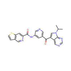 CC(C)n1cc(C(=O)c2cncc(NC(=O)c3cc4sccc4cn3)c2)c2cncnc21 ZINC000169707937