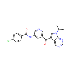 CC(C)n1cc(C(=O)c2cncc(NC(=O)c3ccc(Cl)cc3)c2)c2cncnc21 ZINC000169707888