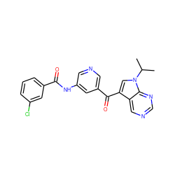 CC(C)n1cc(C(=O)c2cncc(NC(=O)c3cccc(Cl)c3)c2)c2cncnc21 ZINC000169707887