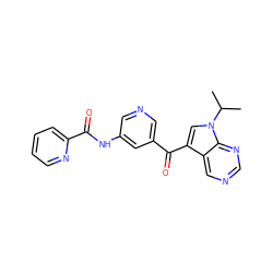 CC(C)n1cc(C(=O)c2cncc(NC(=O)c3ccccn3)c2)c2cncnc21 ZINC000169707955