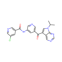 CC(C)n1cc(C(=O)c2cncc(NC(=O)c3cncc(Cl)c3)c2)c2cncnc21 ZINC000169707956