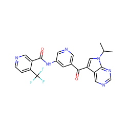 CC(C)n1cc(C(=O)c2cncc(NC(=O)c3cnccc3C(F)(F)F)c2)c2cncnc21 ZINC000169707972