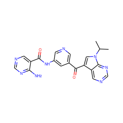 CC(C)n1cc(C(=O)c2cncc(NC(=O)c3cncnc3N)c2)c2cncnc21 ZINC000169707948