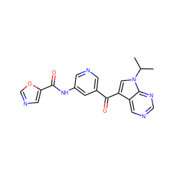 CC(C)n1cc(C(=O)c2cncc(NC(=O)c3cnco3)c2)c2cncnc21 ZINC000169707927