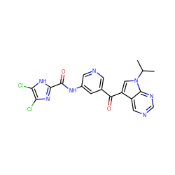 CC(C)n1cc(C(=O)c2cncc(NC(=O)c3nc(Cl)c(Cl)[nH]3)c2)c2cncnc21 ZINC000221758289