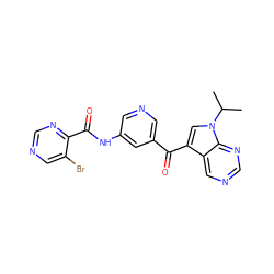 CC(C)n1cc(C(=O)c2cncc(NC(=O)c3ncncc3Br)c2)c2cncnc21 ZINC000169707993